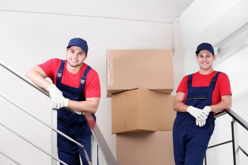 Illustration representing cookie settings for a removals website