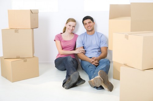Accessible Southlambeth Removals webpage illustration for the accessibility statement