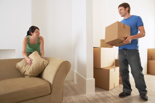 Encrypted Southlambeth Removals payment page highlighting secure online checkout