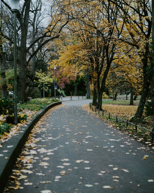 A paved pathway in a park during autumn, lined with trees that have yellow and orange leaves, some fallen leaves scattered on the ground. Along the edge of the path, there is a low black metal fence, with a few lamp posts visible in the background. The scene is outdoors with natural lighting, capturing the peaceful atmosphere of a residential area suitable for house removals or moving services. The image appears to be associated with South Lambeth Removals and relates to a route and parking advice for a home relocation near Kennington Park, emphasizing the importance of planning transportation and access during moving day.