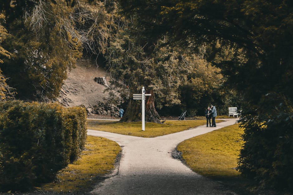 A paved pathway in a park during autumn, lined with trees that have yellow and orange leaves, some fallen leaves scattered on the ground. Along the edge of the path, there is a low black metal fence, with a few lamp posts visible in the background. The scene is outdoors with natural lighting, capturing the peaceful atmosphere of a residential area suitable for house removals or moving services. The image appears to be associated with South Lambeth Removals and relates to a route and parking advice for a home relocation near Kennington Park, emphasizing the importance of planning transportation and access during moving day.